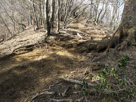 20190108hike (260)